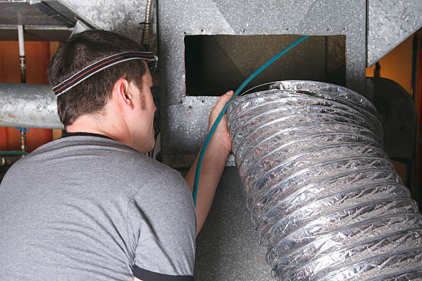 Best Ductwork Cleaning Services  in Tavares, FL